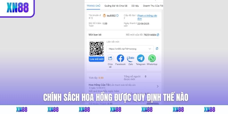 Chính sách hoa hồng được quy định thế nào