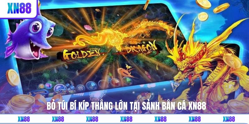 Tối ưu chiến lược để săn được nhiều boss nhất